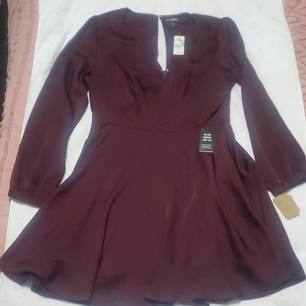 Express Burgundy Long Sleeve Fit & Flare Dress